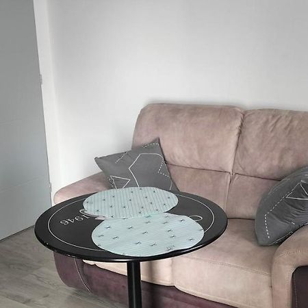 Appartement 2 Pieces Rive-de-Gier エクステリア 写真