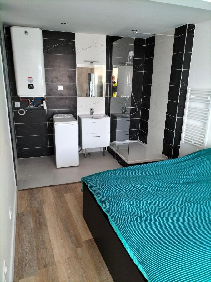 Appartement 2 Pieces Rive-de-Gier エクステリア 写真