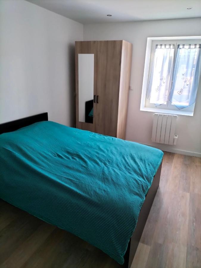 Appartement 2 Pieces Rive-de-Gier エクステリア 写真