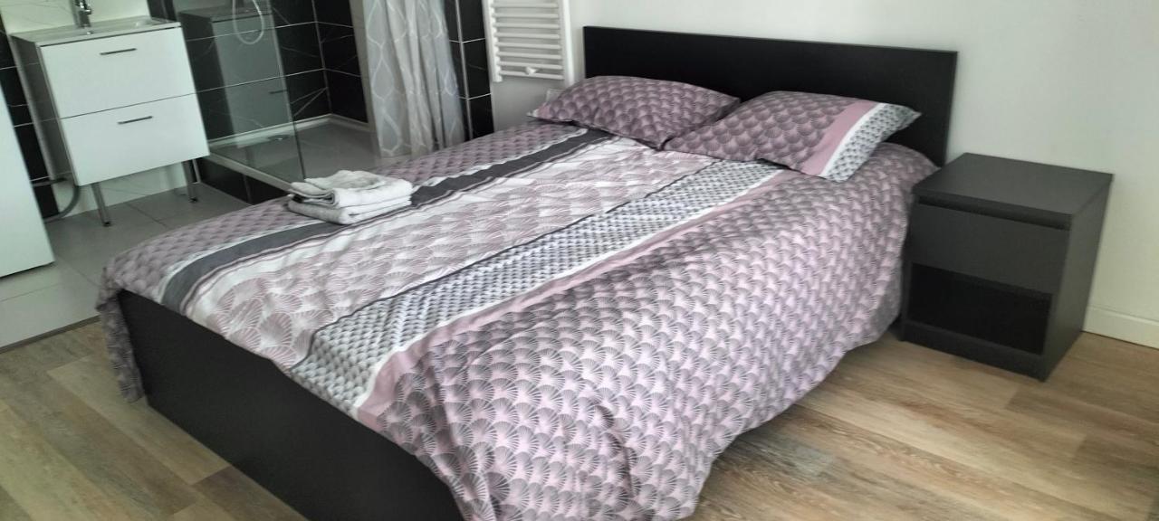 Appartement 2 Pieces Rive-de-Gier エクステリア 写真